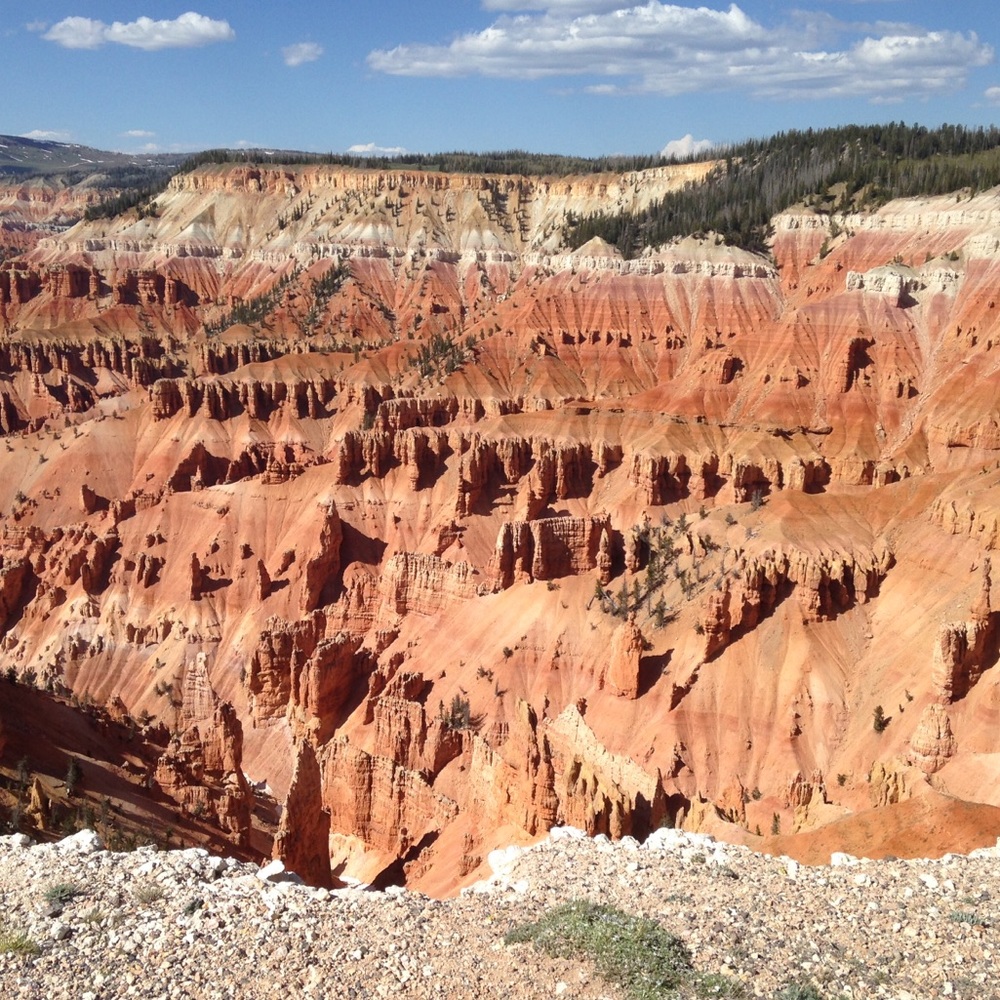 Meet your Posher, Nina